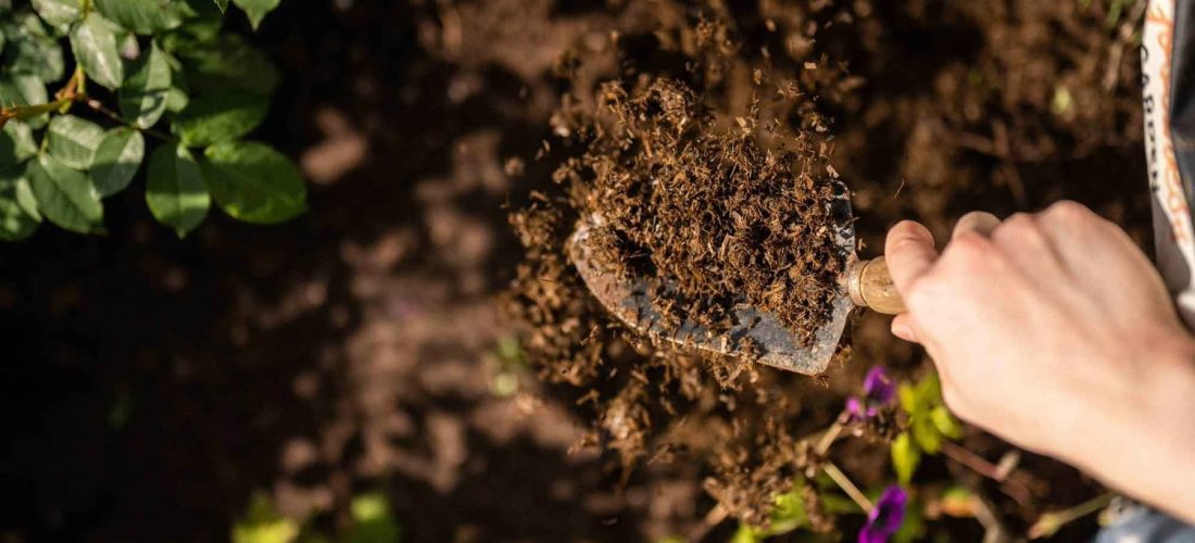 Community Garden | From Soil to Seed: Foundations of Composting with Sara Alsayed