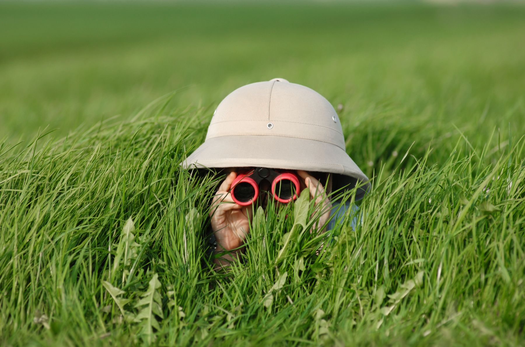 Little Explorers