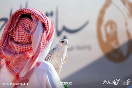Melwah Falcon Racing