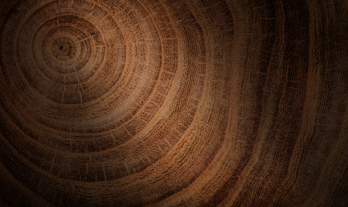 Saudi Wood Expo