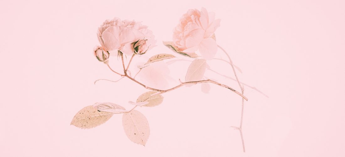 Hayy Makers | Creative Night: Create in Pink